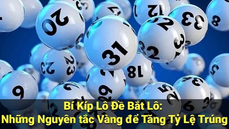 Bí Kíp Lô Đề Bắt Lô: Những Nguyên tắc Vàng để Tăng Tỷ Lệ Trúng