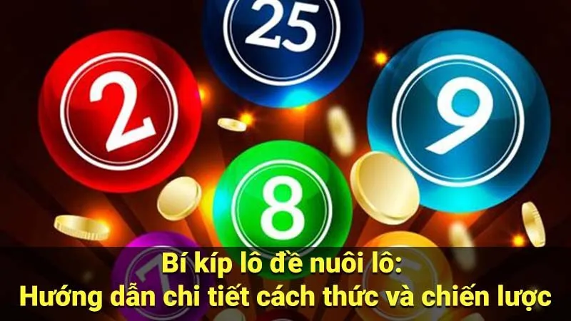 Bí kíp lô đề nuôi lô: Hướng dẫn chi tiết cách thức và chiến lược