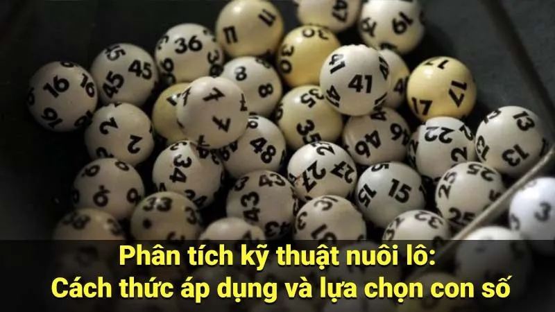 Phân tích kỹ thuật nuôi lô: Cách thức áp dụng và lựa chọn con số