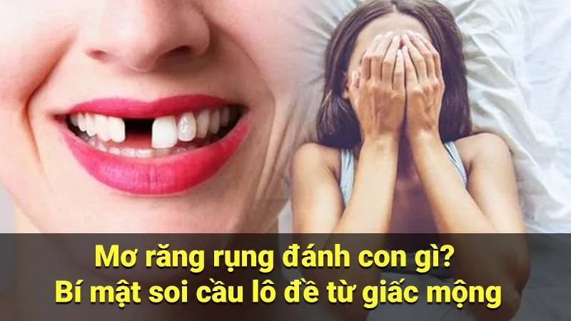 Mơ răng rụng đánh con gì? Bí mật soi cầu lô đề từ giấc mộng