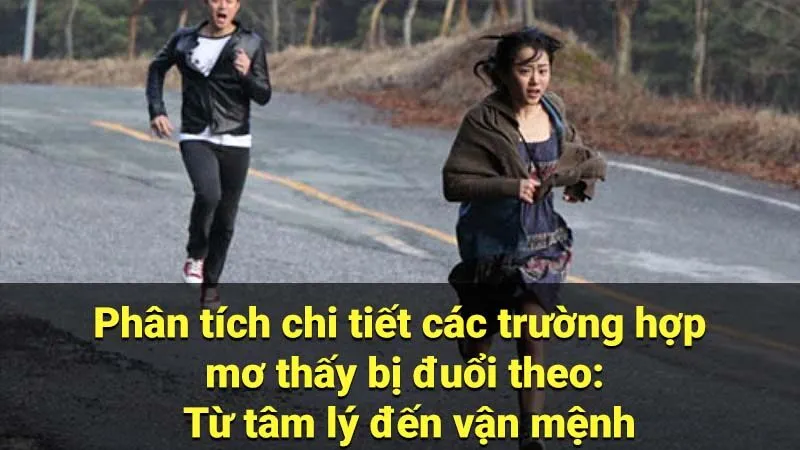 Mơ thấy mình bị đuổi đánh đề con gì? Bí mật con số may mắn