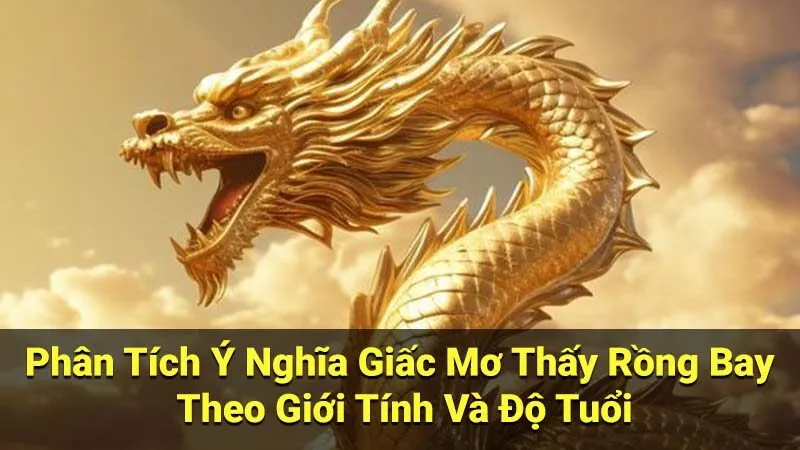 Phân Tích Ý Nghĩa Giấc Mơ Thấy Rồng Bay Theo Giới Tính Và Độ Tuổi