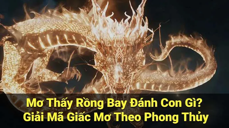 Giải Mã Mơ Thấy Rồng Bay Đánh Con Gì?: Con Số May Mắn Theo Phong Thủy